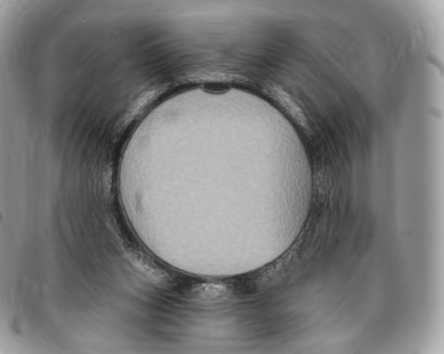 X0000096470159200802141706