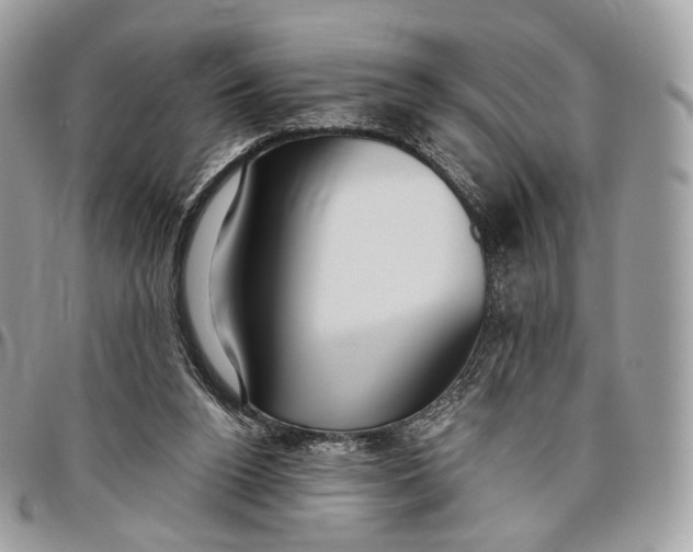 X0000096470160200802141706