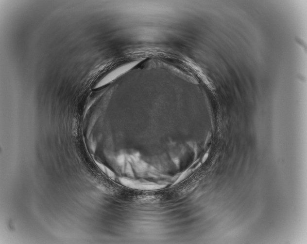 X0000096470161200802141706