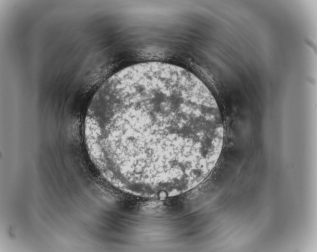 X0000096470162200802141706