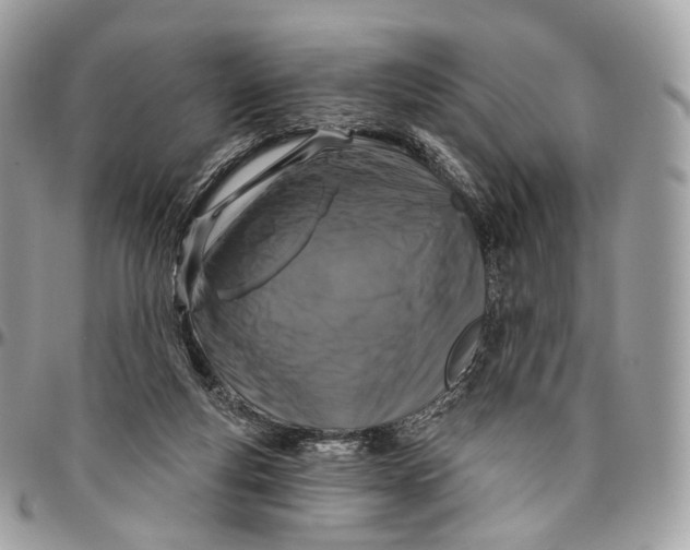 X0000096470163200802141706