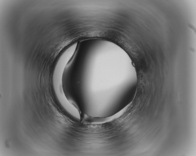 X0000096470164200802141706