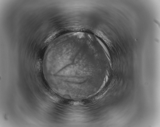 X0000096470165200802141706