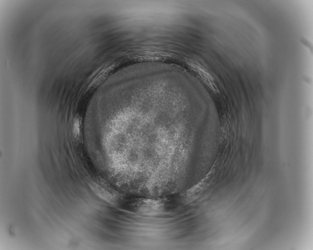 X0000096470166200802141706