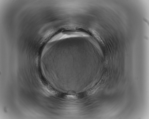 X0000096470167200802141706