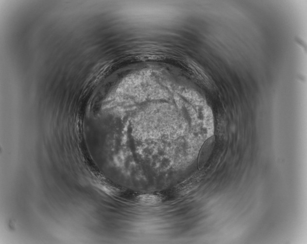 X0000096470169200802141706