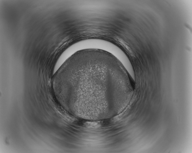 X0000096470170200802141706