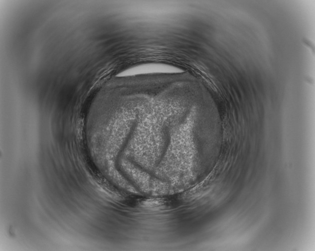 X0000096470171200802141706