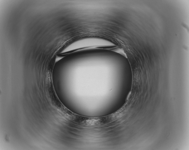 X0000096470172200802141706