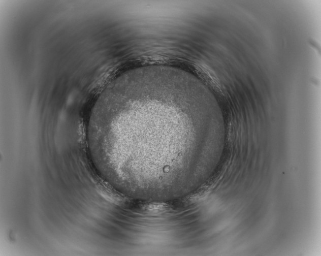 X0000096470173200802141706