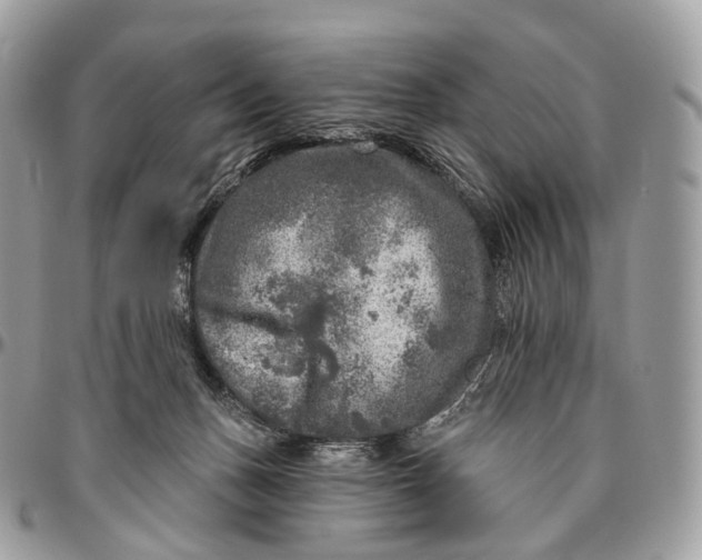 X0000096470175200802141706