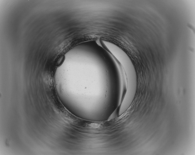 X0000096470176200802141706