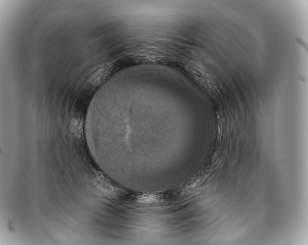 X0000096470177200802141706