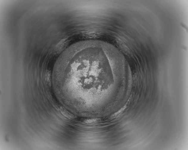 X0000096470178200802141706