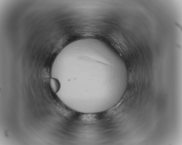 X0000096470179200802141706