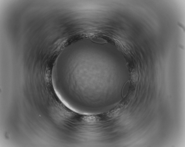 X0000096470181200802141706