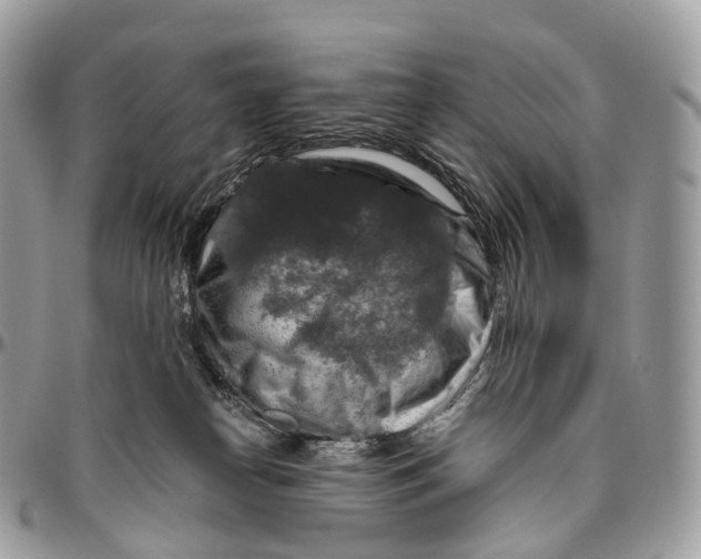 X0000096470182200802141706