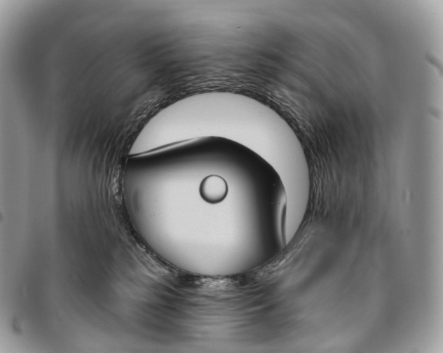 X0000096470185200802141706