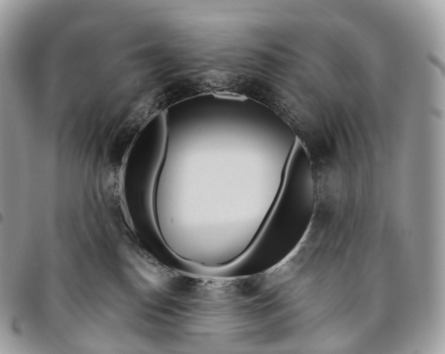 X0000096470186200802141706