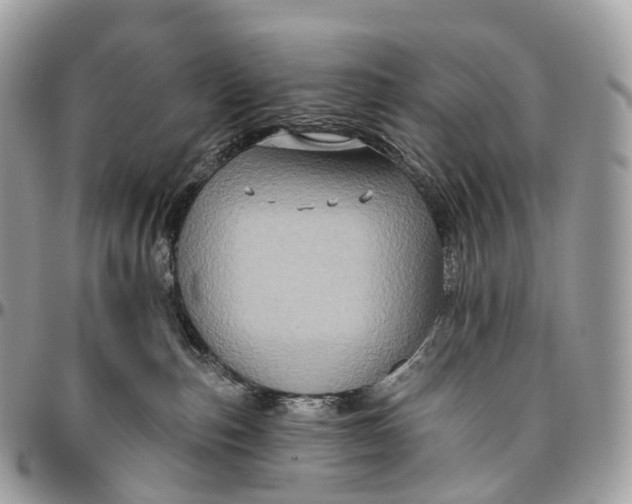 X0000096470187200802141706