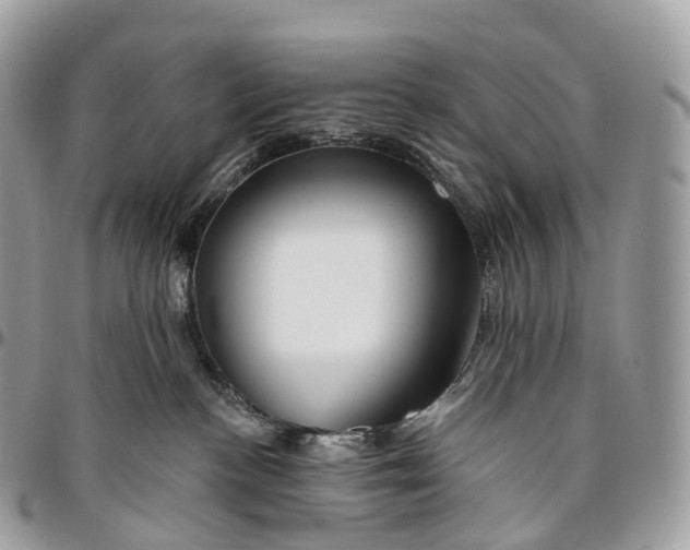 X0000096470188200802141706