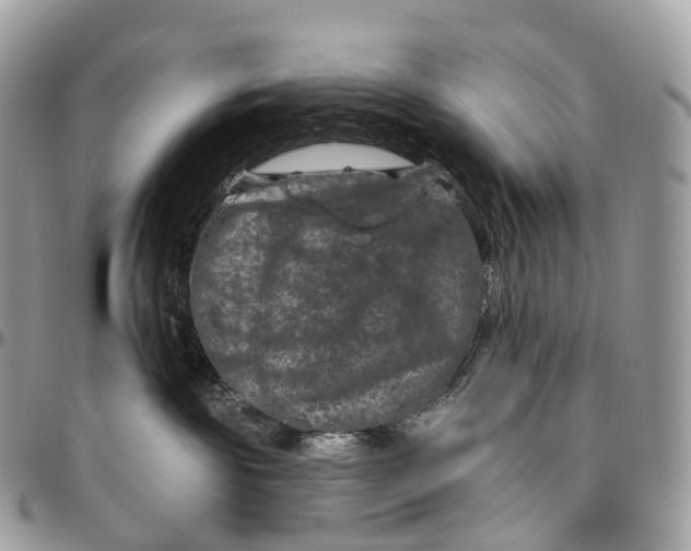 X0000096470189200802141706