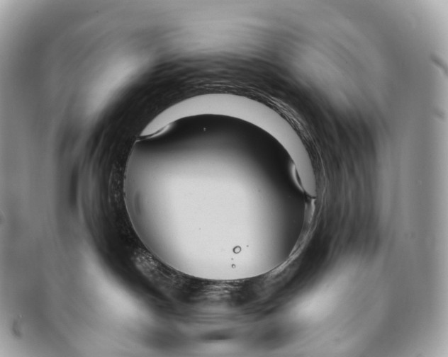 X0000096470190200802141706