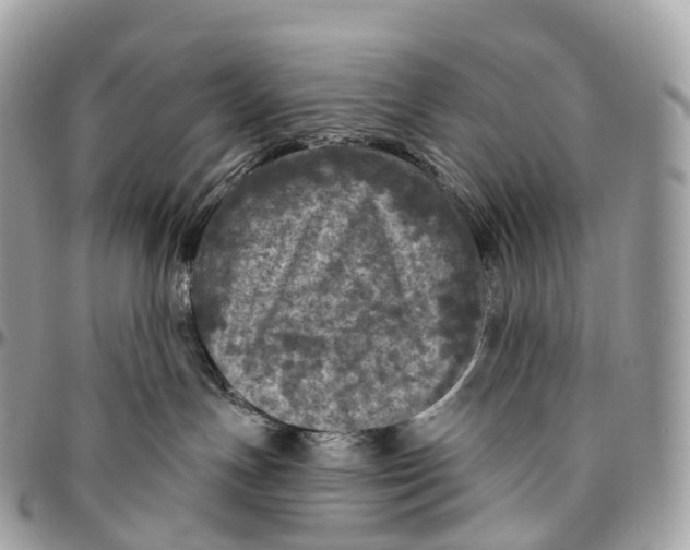 X0000096470191200802141706