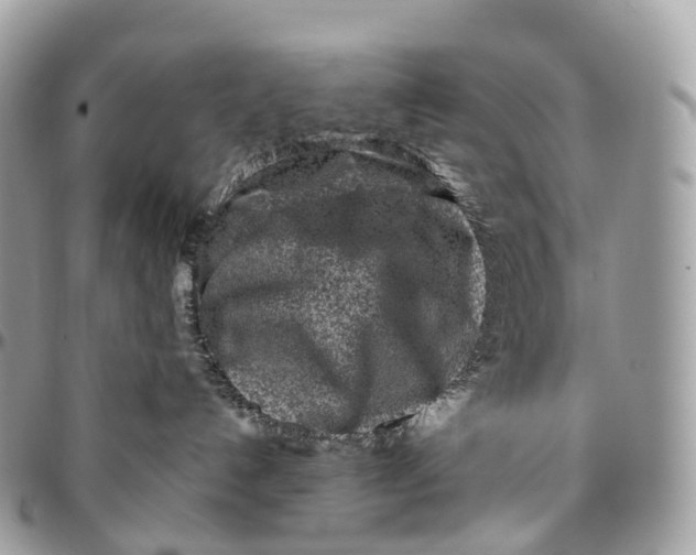 X0000096470192200802141706