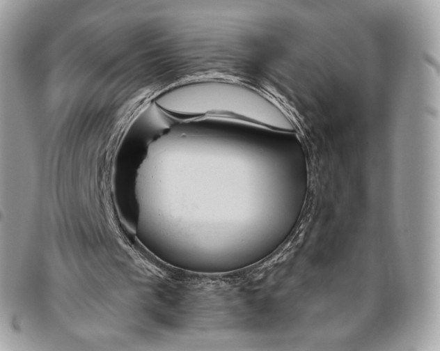 X0000096470193200802141706