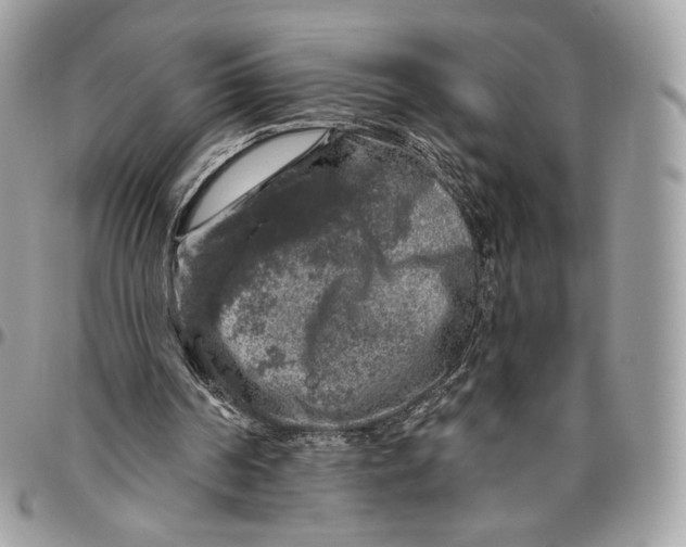 X0000096470194200802141706