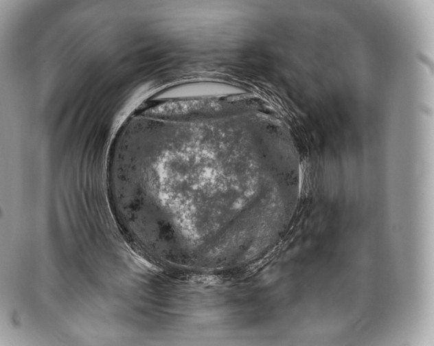 X0000096470195200802141706