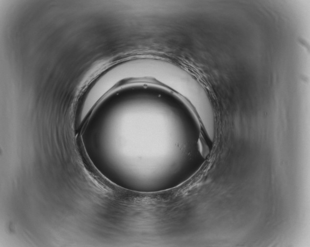 X0000096470197200802141706