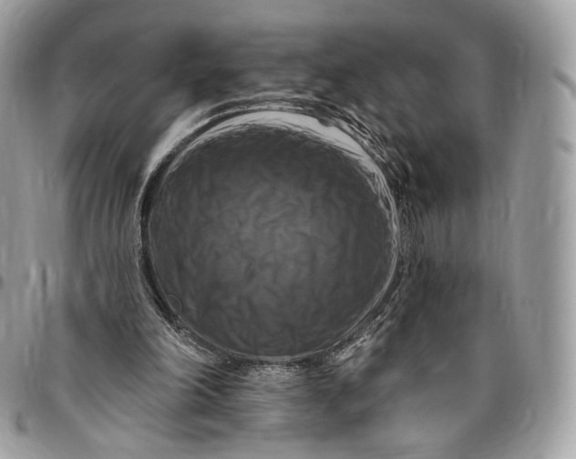 X0000096470198200802141706