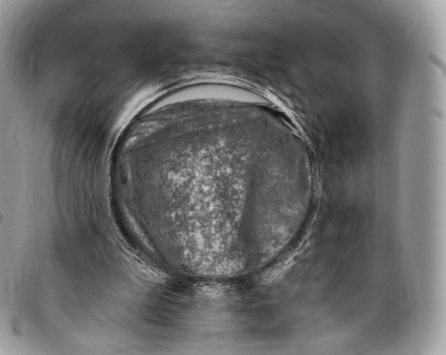 X0000096470199200802141706