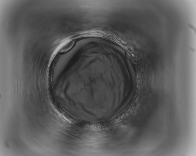 X0000096470200200802141706