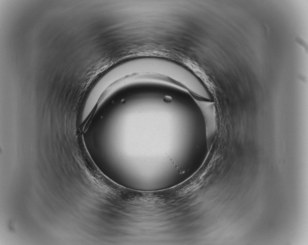 X0000096470201200802141706