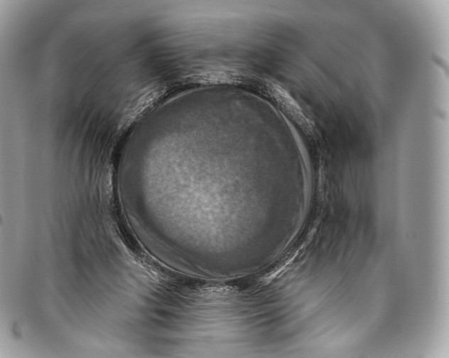 X0000096470202200802141706