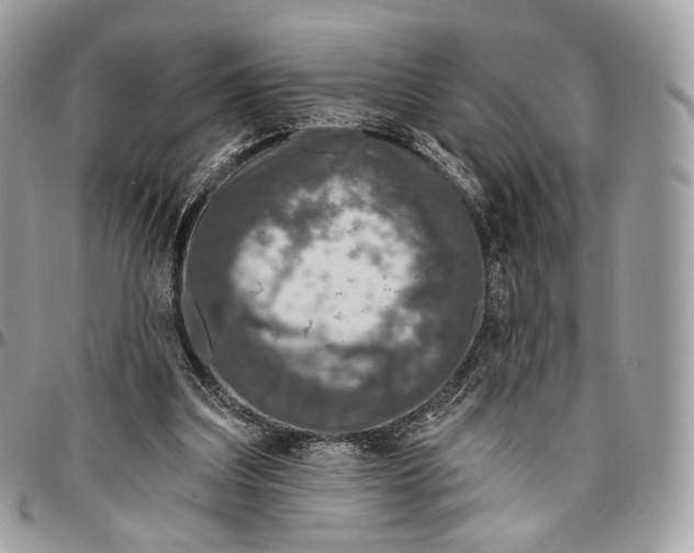 X0000096470203200802141706