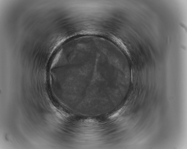 X0000096470204200802141706