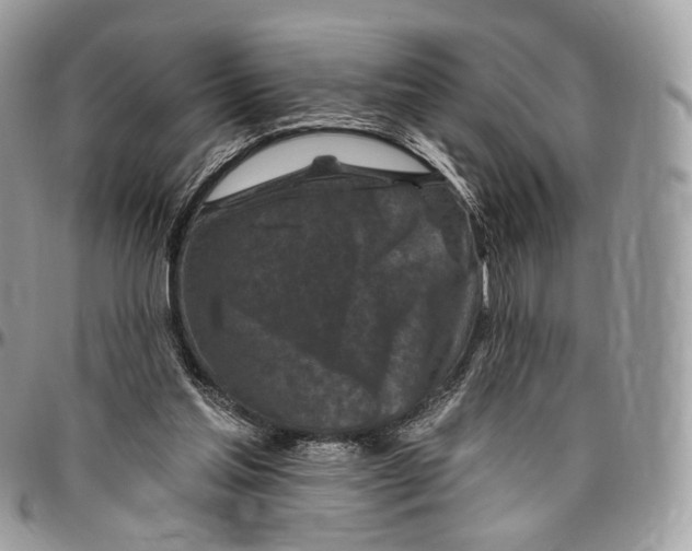 X0000096470205200802141705