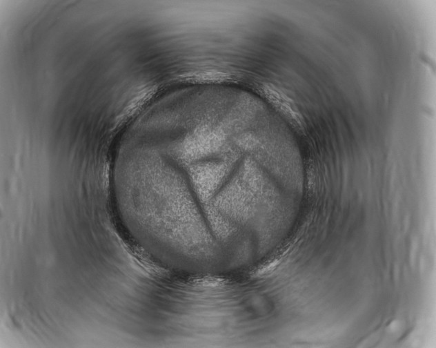 X0000096470206200802141705