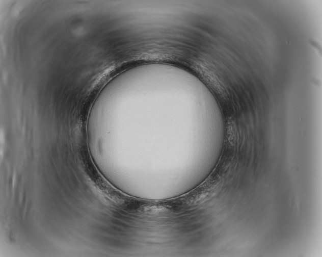 X0000096470208200802141705