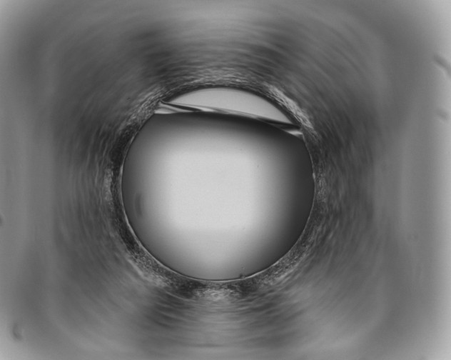 X0000096470209200802141705