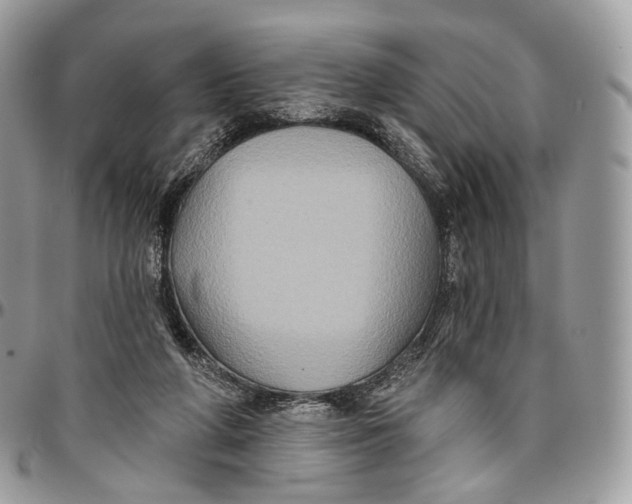 X0000096470210200802141705