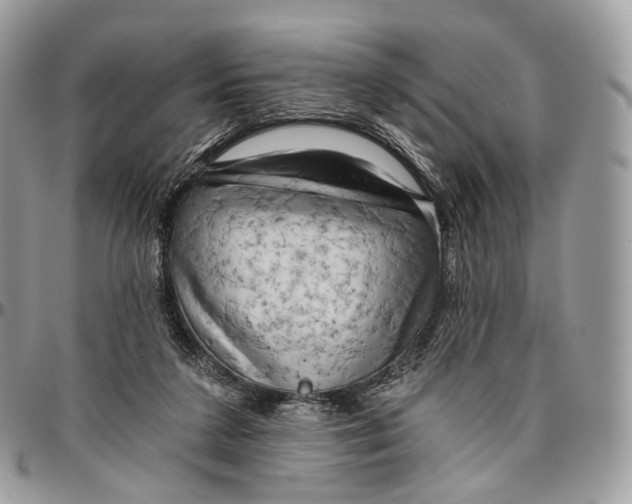 X0000096470211200802141705