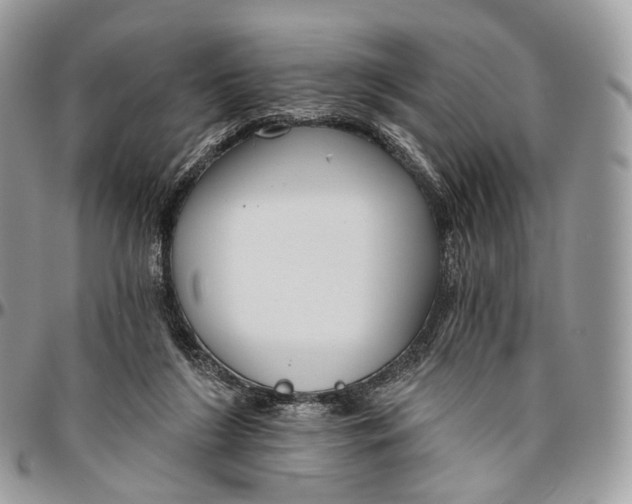 X0000096470212200802141705