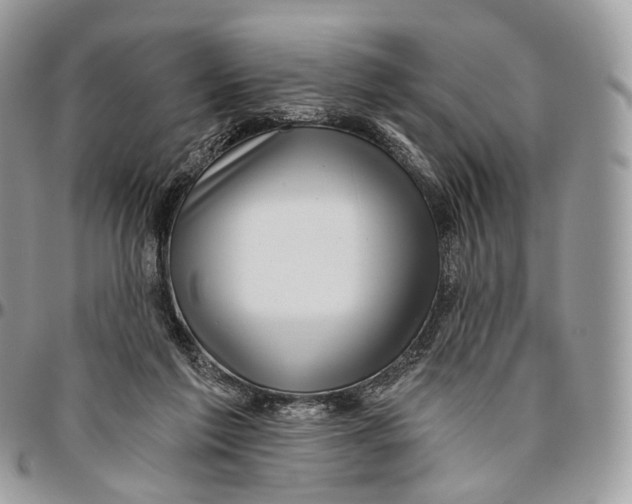 X0000096470213200802141705