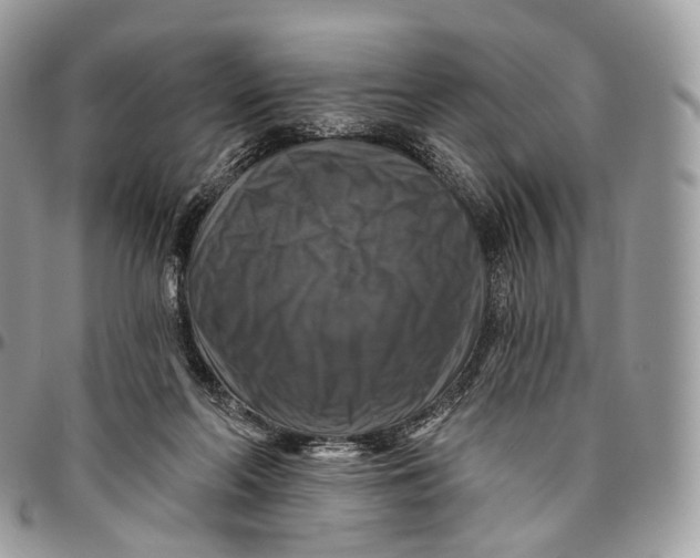 X0000096470214200802141705