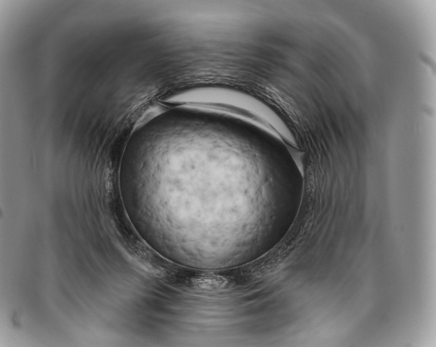 X0000096470215200802141705